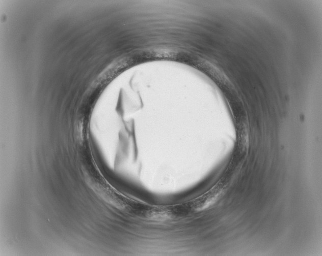 X0000085210262200704091914