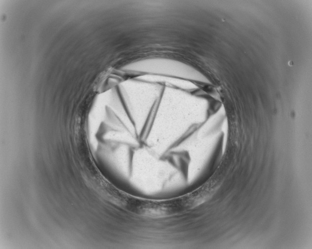 X0000085210263200704091914