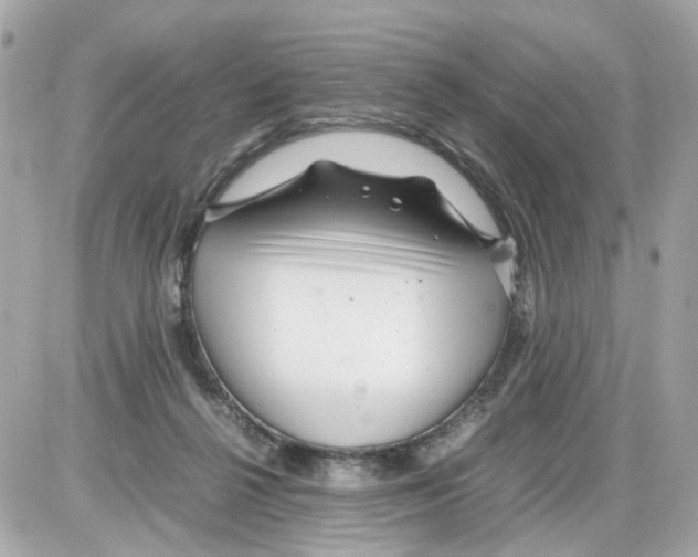 X0000085210264200704091914