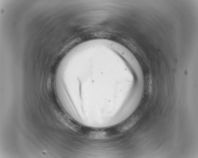 X0000085210266200704091914