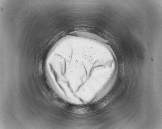 X0000085210267200704091914