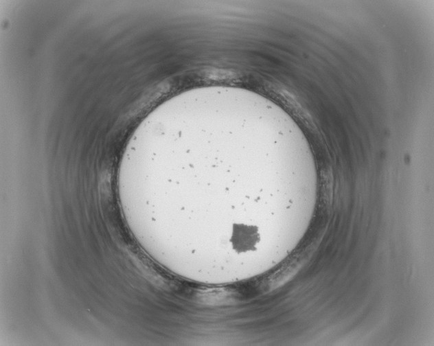 X0000085210269200704091914