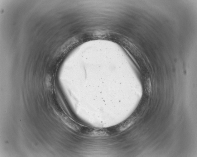 X0000085210270200704091914