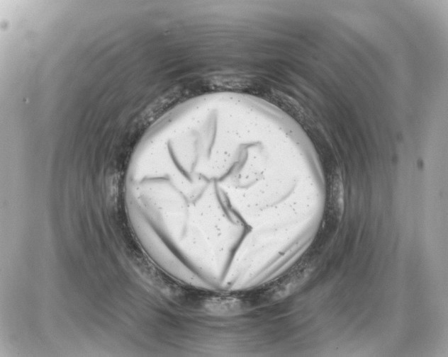 X0000085210271200704091914