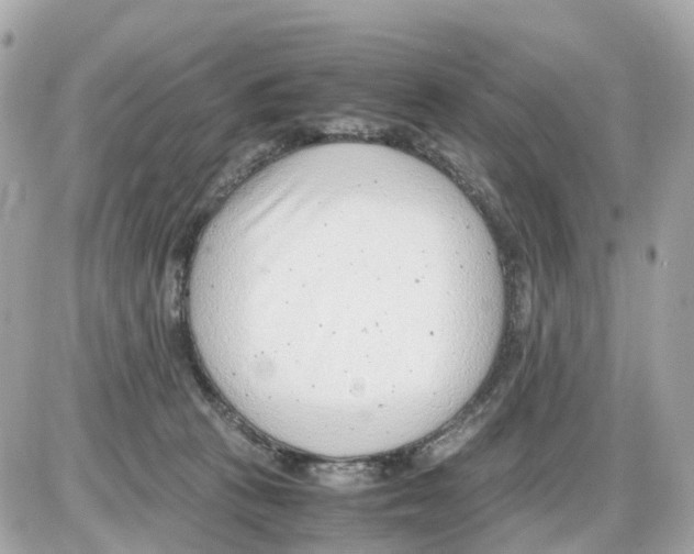 X0000085210273200704091914