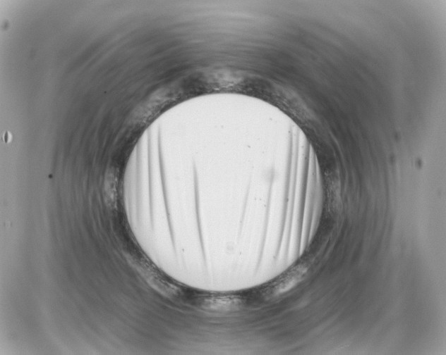 X0000085210274200704091914