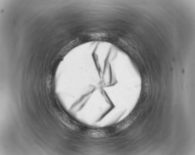 X0000085210275200704091914