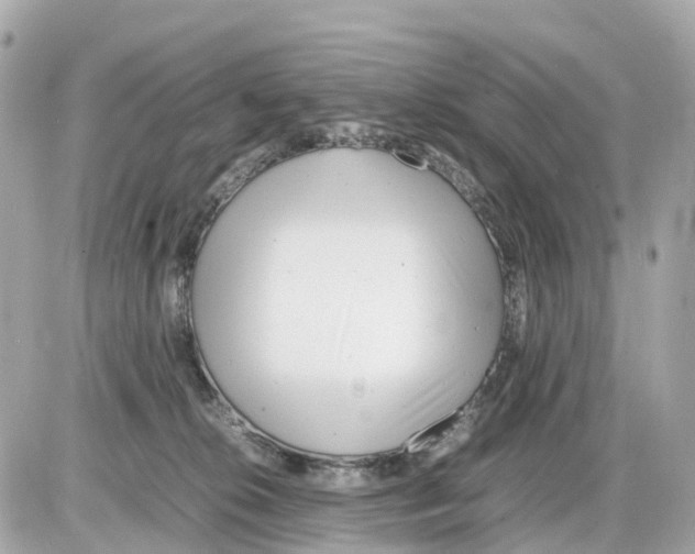 X0000085210276200704091914