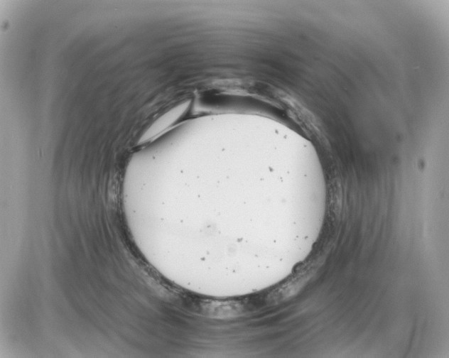 X0000085210277200704091914