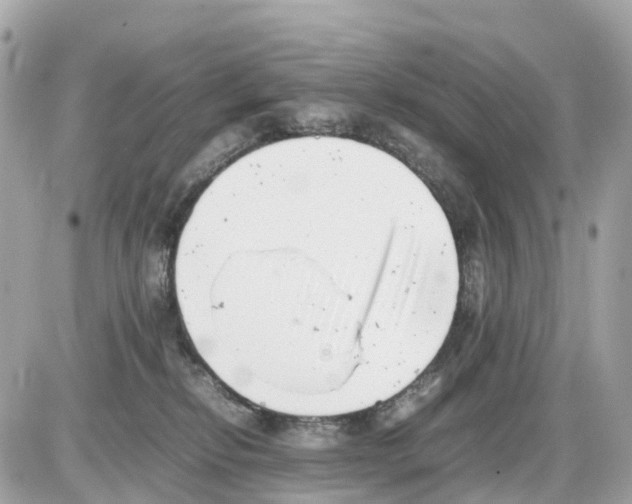 X0000085210278200704091914