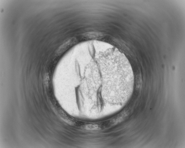 X0000085210279200704091914