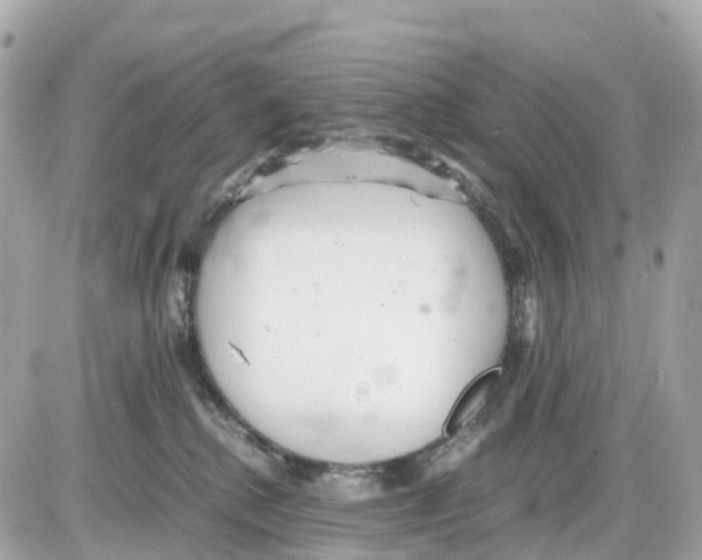 X0000085210280200704091914