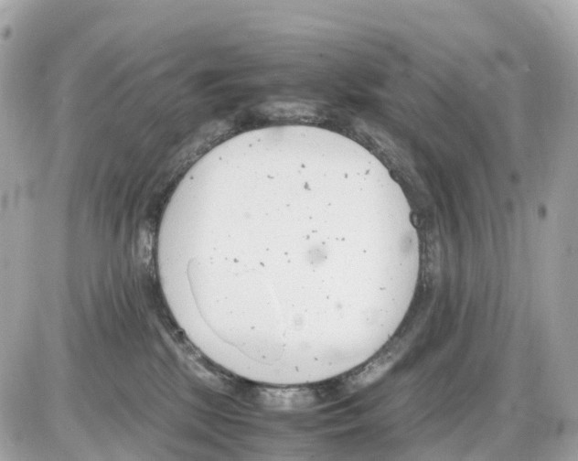 X0000085210281200704091914