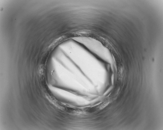 X0000085210284200704091914