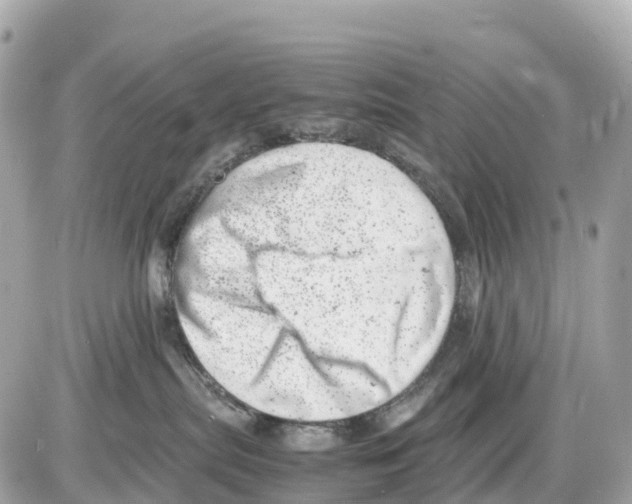 X0000085210287200704091914