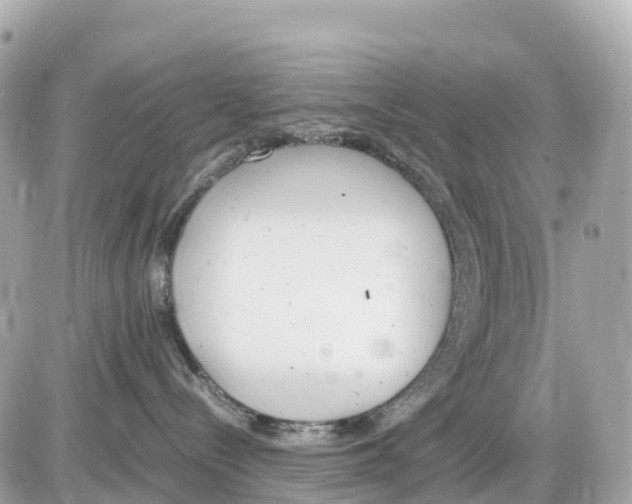 X0000085210288200704091914