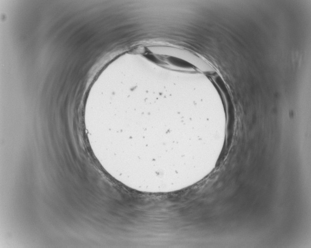 X0000085210289200704091913