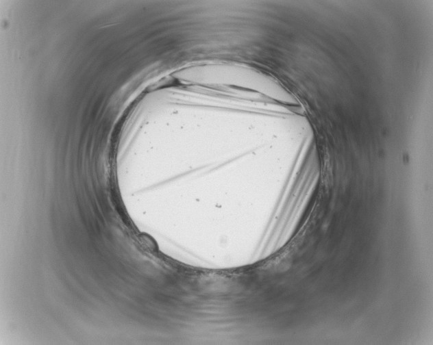 X0000085210290200704091913