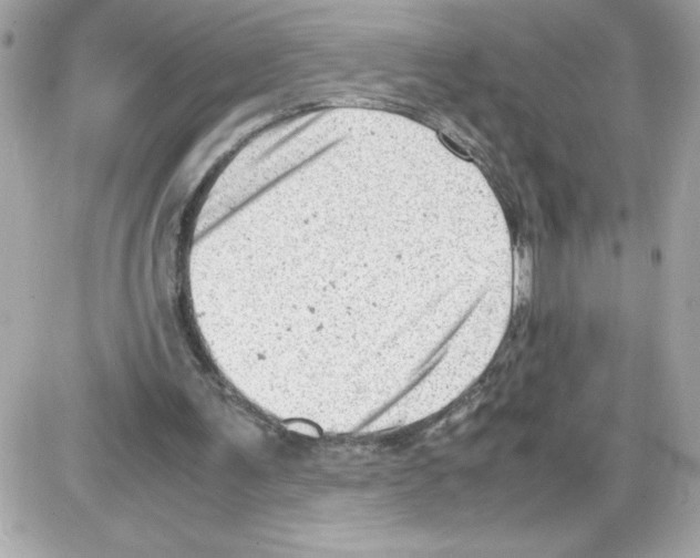 X0000085210291200704091913