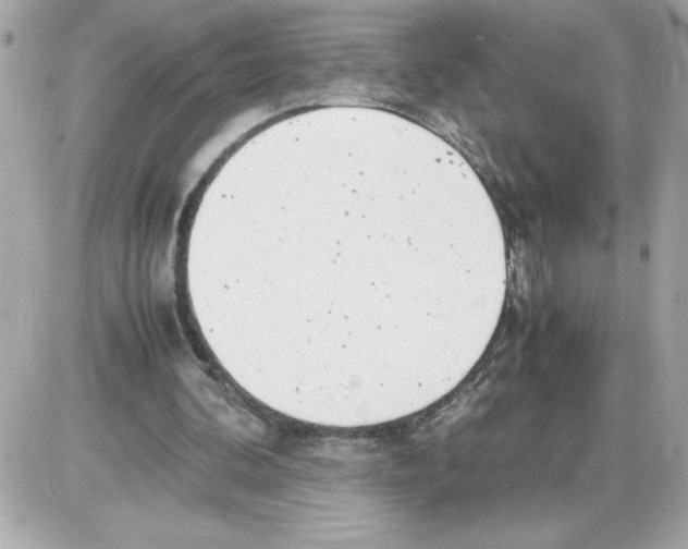 X0000085210292200704091913