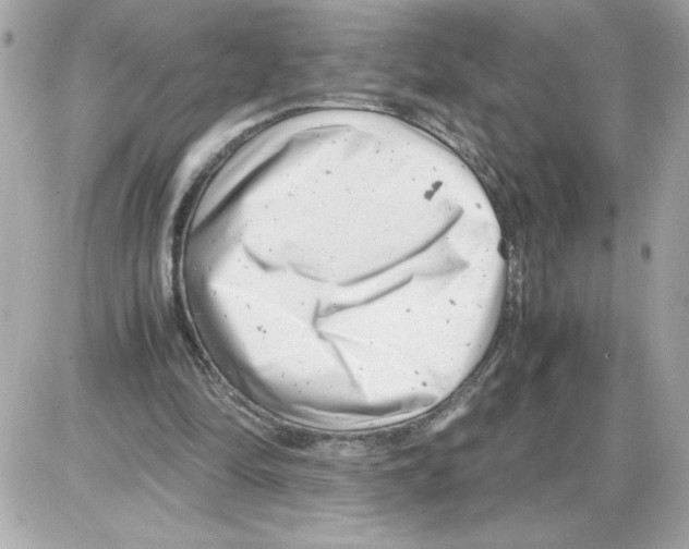 X0000085210294200704091913