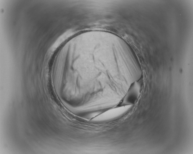 X0000085210295200704091913