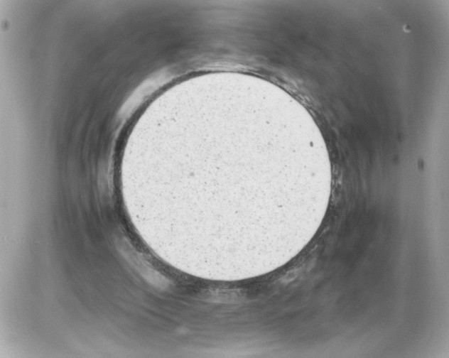 X0000085210296200704091913