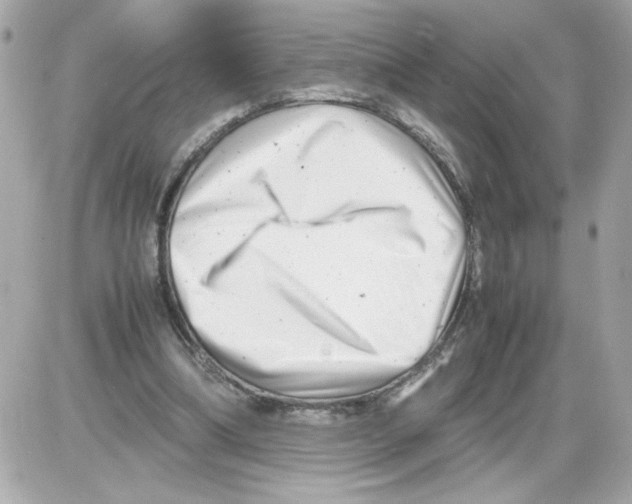 X0000085210298200704091913