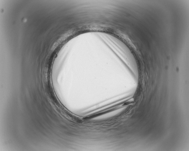 X0000085210299200704091913