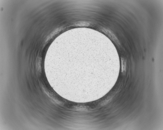 X0000085210300200704091913