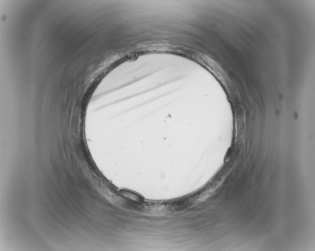 X0000085210301200704091913