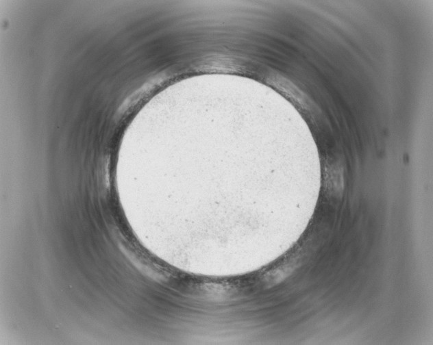 X0000085210302200704091913