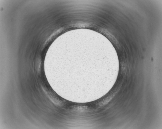 X0000085210304200704091913