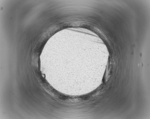 X0000085210307200704091913