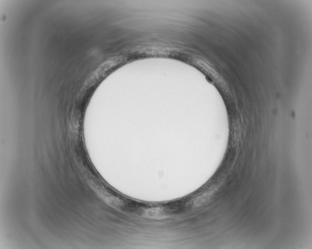 X0000085210309200704091913