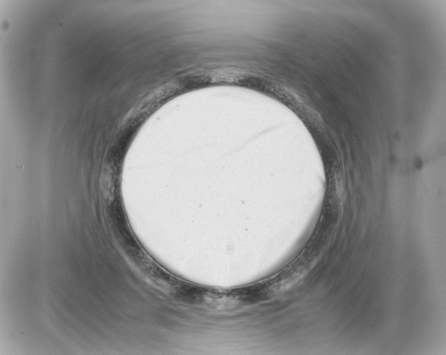 X0000085210311200704091913