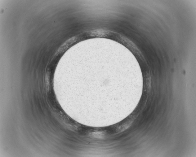 X0000085210312200704091913