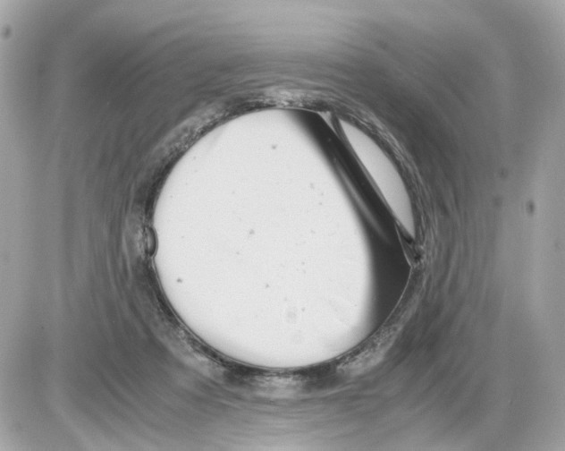 X0000085210313200704091913