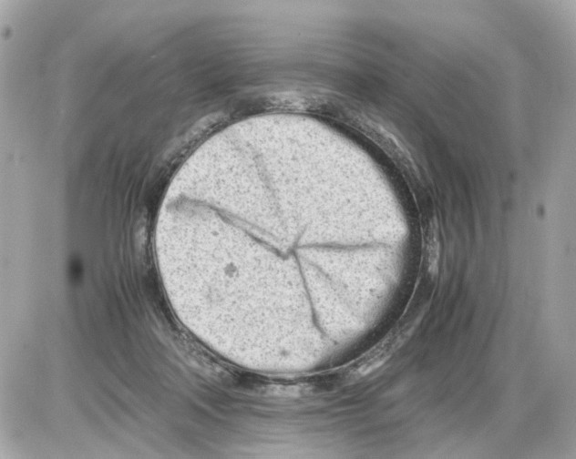 X0000085210314200704091913