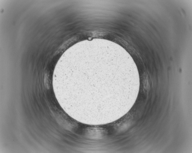 X0000085210316200704091913