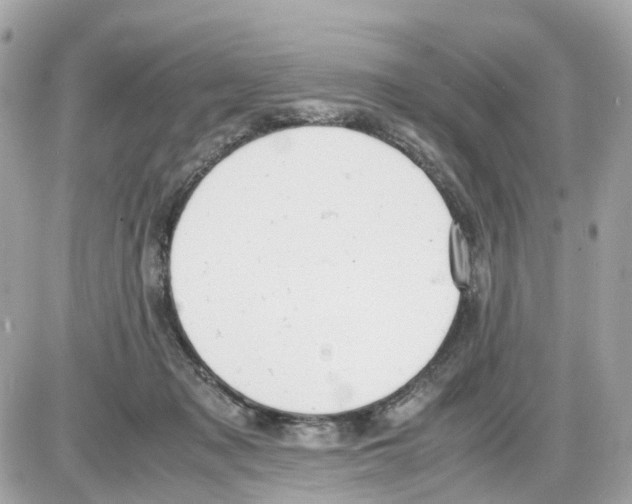 X0000085210317200704091913