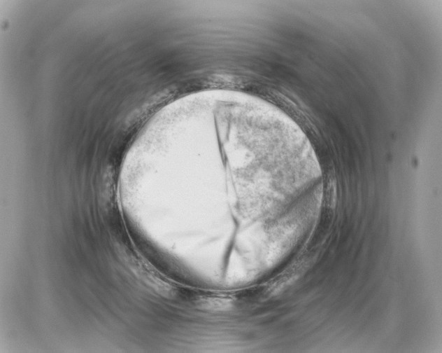 X0000085210318200704091913