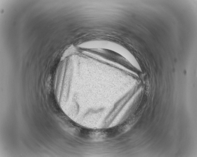 X0000085210319200704091913