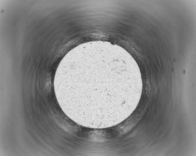 X0000085210320200704091913