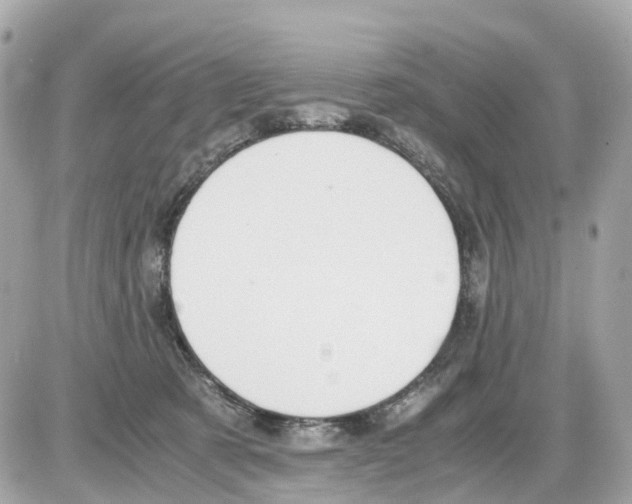 X0000085210321200704091913