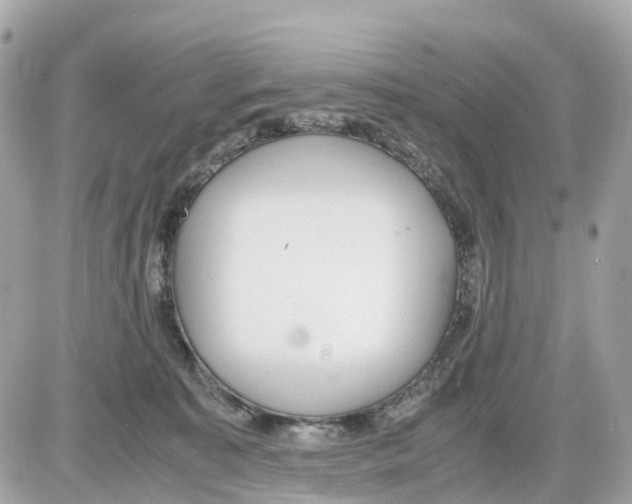 X0000085210323200704091913