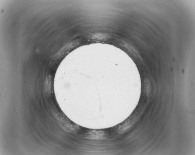 X0000085210328200704091913