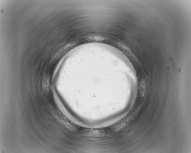 X0000085210330200704091913