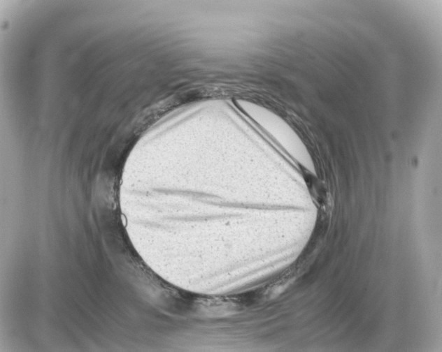 X0000085210331200704091913