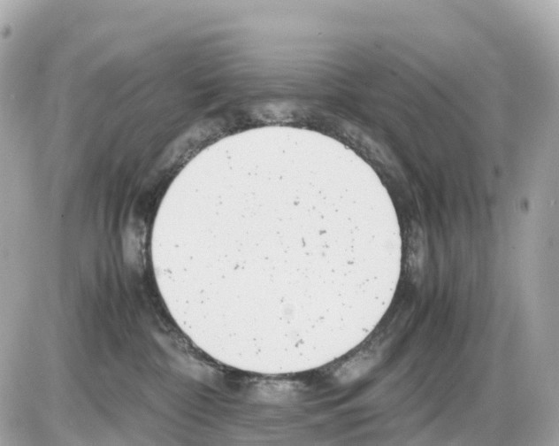 X0000085210332200704091913